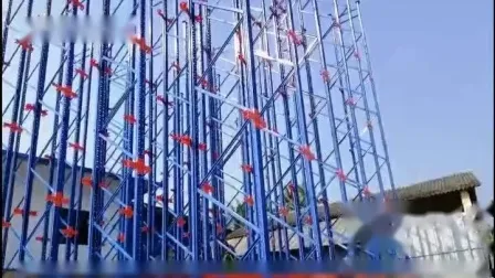 Ebil Automatic Storage Rack Clad Supported Warehouse Building High Density Storage Racking